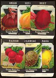 #CS065 - 25 Different Card Seed Packets