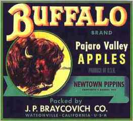 #ZLC037 - Buffalo Apple Crate Label