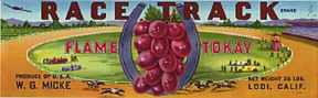 #ZLSG002 - Race Track Grape Crate Label
