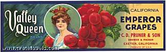 #ZLSG007 - Stone Litho Valley Queen Grape Crate Label