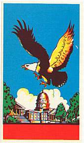 #ZLB010 - Group of 10 Eagle Flying over the Capitol Building Broom Labels