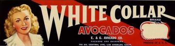 #LC035 - White Collar Avocados Crate Lug Label