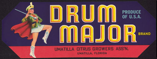 drum major drum major