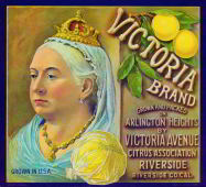 #ZLC144 - Victoria Brand Sunkist Grapefruit Crate Label