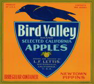 #ZLC172 - Bird Valley Apples Crate Label