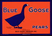 #ZLC149 - Blue Goose Pear Crate Label