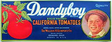 #ZLC227 - Dandyboy California Tomatoes Crate Label