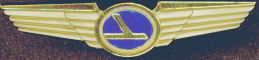#CA029 - Group of 10 Eastern Airlines Kiddie Wings