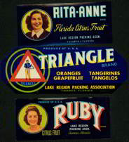 #ZLC148 - Three Different very 1940s Citrus Labels