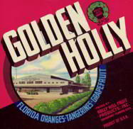 #ZLC199 - Golden Holly Florida Fruit Crate Label