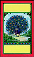 #ZLB022 - Group of 3 Peacock Broom Labels