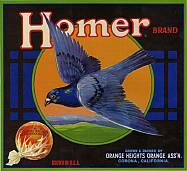 #ZLC050 - Homer Sunkist Brand Orange Crate Label