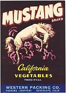 #ZLC049 - Mustang California Vegetables Crate Label