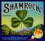#ZLC069 - Sunkist Shamrock Valencias Orange Crate Label