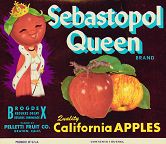 #LC072 - Sebastopol Queen Apple Crate Label