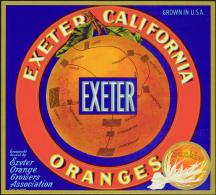 #ZLC089 - Exeter Sunkist Orange Crate Label
