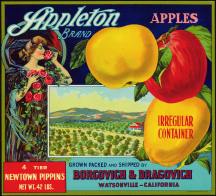 Appleton Antiques
