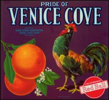#LC095 - Venice Cove Crate Label with Rooster