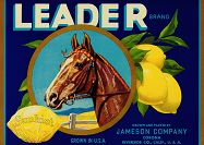 #LC101 - Leader Lemon Label with Horse