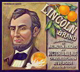 #ZLC114 - Lincoln Brand Sunkist Orange Crate Label