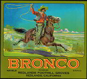 #ZLC118 - Bronco Orange Crate Label
