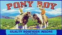 #ZLC126 - Pony Boy Honeydew Melon Label