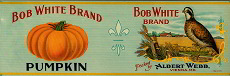 #ZLCA058 - Large Size Bob White Pumpkin Label