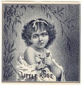 #LSC020 - Little Rose Outer Cigar Box Label