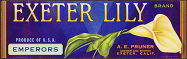 #ZLSG028 - Exeter Lily Grape Crate Label
