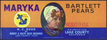 #ZLC210 - Maryka Bartlett Pear Label with Dutch Girl