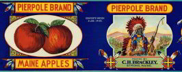 #ZLCA065 - Huge Pierpole Brand Maine Apple Can Label