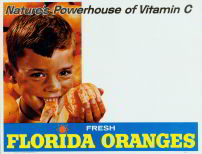 #SIGN028 - Nature's Powerhouse Florida Orange Sign