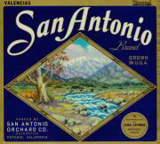 #ZLC143 - San Antonio Brand Valencia Orange Label