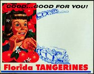 #SIGN014 - Florida Tangerine Special Sign with Girl and Train