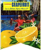#SIGN016 - Florida Grapefruit Fold Over Sign with Fisherman