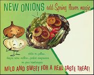 #SIGN019 - Onions Add Spring Flavor Store Sign - Green Version