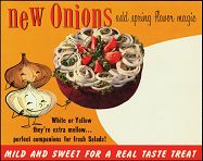 #SIGN020- Onions Add Spring Flavor Store Sign - Orange Version