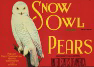 #ZLC167 - Snow Owl Pears Crate Label