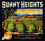 #ZLC155 - Sunny Heights Sunkist Orange Crate Label