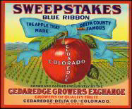 #ZLC137 - Rare and Very Old Sweepstakes Blue Ribbon Apple Crate Label