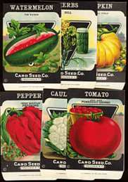 #CS064 - Set of 67 Different Card Seed Packets