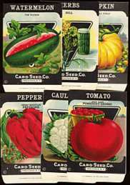 #CS064 - Set of 67 Different Card Seed Packets