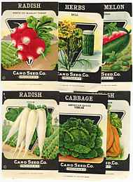#CS065 - 10 Different Card Seed Packets