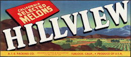 ZLSH602 - Group of 100 Hillview Melons Crate Labels