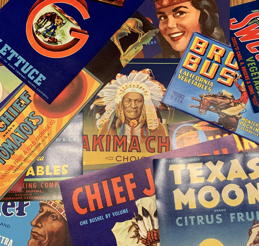 #CS659 - Set of 15 Different Cowboy and Indian Fruit and Vegetable Crate Labels