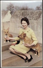 #PL419.03 - Royal Family Sovereign Series No.2 Postcard - Queen Elizabeth