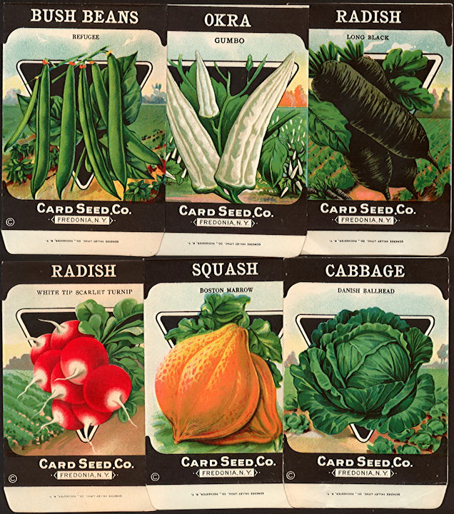 #CE090 - 30 Different Card Seed Packets