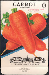 #CE054 - Brightly Colored Chantenay Carrot Lone...