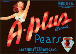 #ZLC441 - A-Plus Brand Pears Crate Label - Pinup
