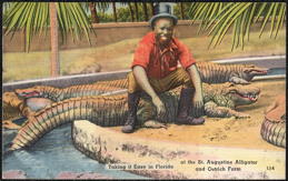 #NE030 - Group of 12 - Postcard Picturing a Daring Black Man Sitting on an Alligator - St. Augustine